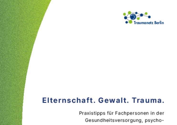 Elternschaft. Gewalt. Trauma. Praxistipps für Fachpersonen in der Gesundheitsversorgung, psychosozialen Arbeit und Pädagogik